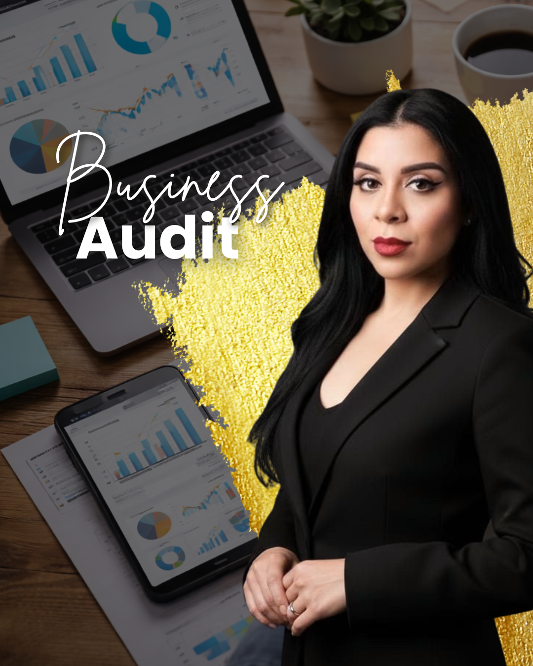 Business Audit